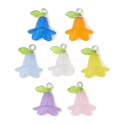 Frosted Acrylic Pendants Kit PALLOY-JF02421-1