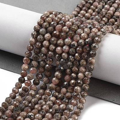 Argentina Natural Rhodonite Beads Strands G-G140-A01-03-1