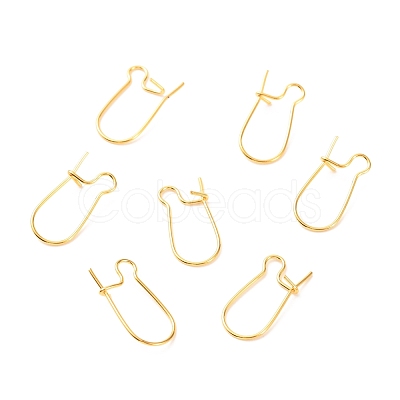 Brass Hoop Earring Findings KK-F824-009G-1