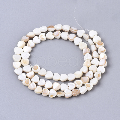 Natural Trochid Shell/Trochus Shell Bead Strands X-SSHEL-N034-66-1