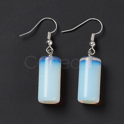 Gemstone Cylindrical Dangle Earrings EJEW-D188-01P-1