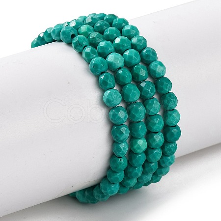 Natural Howlite Beads Strands G-C025-02B-08-1