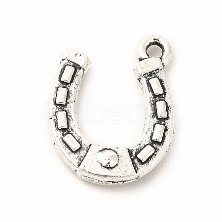 Tibetan Style Alloy Pendants PALLOY-B012-01E-AS-1