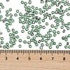 TOHO Round Seed Beads SEED-TR08-2202-4