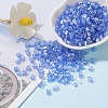 6/0 Glass Seed Beads SEED-YW0001-25G-5