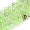 Natural Prehnite Beads Strands X-G-I250-01C-1