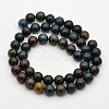 Natural Bloodstone Beads Strands G-N0158-02-8mm-3