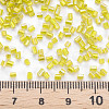 Glass Bugle Beads SEED-S032-09A-636-4