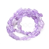 Natural Amethyst(Dyed & Heated) Beads Strands G-P497-01C-44-3