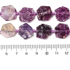 Natural Lepidolite Beads Strands G-L095-A01-01A-5