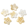 4 Hole Natural Freshwater Shell Buttons SHEL-K006-22-1