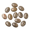 Natural Fossil Coral Cabochons G-J329-20-18x25mm-2
