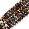 Natural Picture Jasper Beads Strands G-H037-A01-01-1