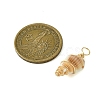 Natural Spiral Shell Pendants PALLOY-JF02793-01-2