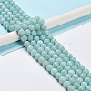 Grade A Natural Amazonite Beads Strands G-C046-01D-2
