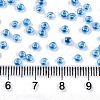 8/0 Glass Seed Beads X-SEED-A015-3mm-2216-4