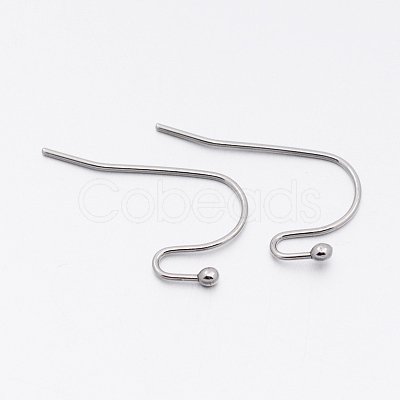 Tarnish Resistant 304 Stainless Steel Earring Hooks STAS-E074-44-1