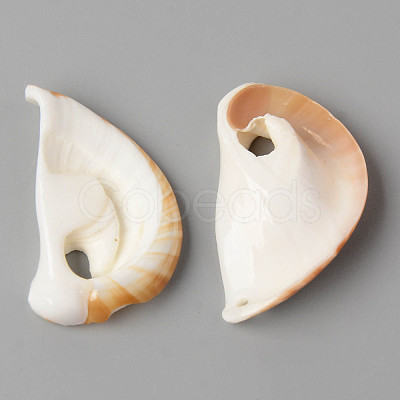 Natural Cowrie Shell Pendants SSHEL-N032-06-1