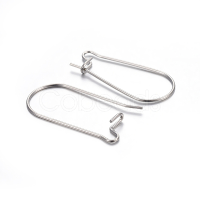 Tarnish Resistant 304 Stainless Steel Hoop Earring Findings STAS-P223-01P-05-1