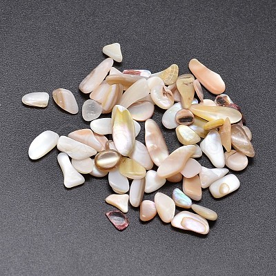 Shell Nuggets Cabochons BSHE-O007-51-1