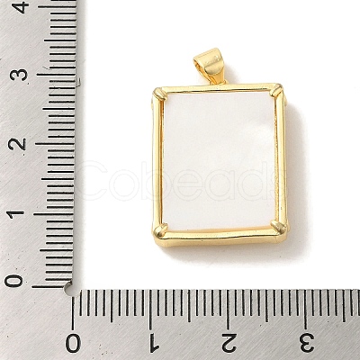 Brass Pave Natural Shell Pendants KK-Z042-27G-02-1