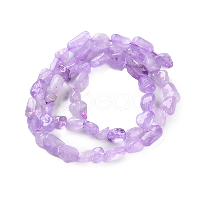 Natural Amethyst(Dyed & Heated) Beads Strands G-P497-01C-44-1