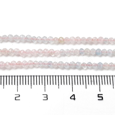 Natural Morganite Beads Strands G-B088-C22-02-1