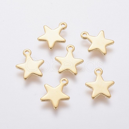 304 Stainless Steel Charms STAS-L234-069G-1