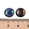 Natural Abalone Shell/Paua Shell Resin Cabochons SSHEL-K003-10MM-03-3