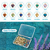 DIY Birthstone Jewelry Making Finding Kit FIND-TA0002-11-12