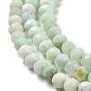 Natural Green Opal Beads Strands G-Z035-A02-02B-4