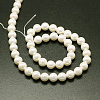 Shell Pearl Beads Strands BSHE-E008-16mm-12-3