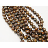 Natural Bronzite Beads Strands X-G-Q605-26-2