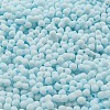 Macaron Color Opaque Frosted Glass Seed Beads SEED-K009-12B-11-3