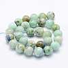 Natural Chrysocolla Beads Strands G-J373-02-14mm-2