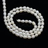 Natural Cultured Freshwater Pearl Beads Strands X-PEAR-L001-D-03-3