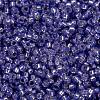 MIYUKI Round Rocailles Beads SEED-JP0010-RR0649-3