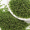 8/0 Transparent Glass Round Seed Beads X-SEED-J010-F8-35-1
