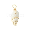 Natural Spiral Shell Pendants PALLOY-JF02792-01-3