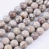 Natural Maifanite/Maifan Stone Beads Strands G-F353-8mm-3