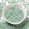 Glass Seed Beads SEED-K009-02A-04-2