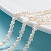 Natural Cultured Freshwater Pearl Beads Strands X-PEAR-I004-08C-5