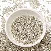 Electroplate Glass Seed Beads X-SEED-S042-01B-08-2
