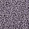 TOHO Round Seed Beads SEED-JPTR08-0554F-2