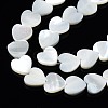 Natural Trochid Shell/Trochus Shell Beads Strands SSHEL-N034-99A-B01-3