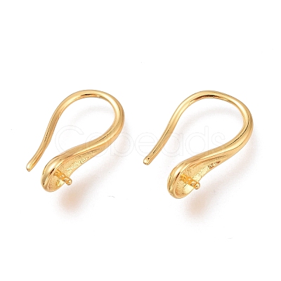 Brass Earring Hooks KK-H102-09G-1