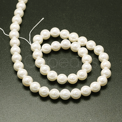 Shell Pearl Beads Strands BSHE-E008-16mm-12-1