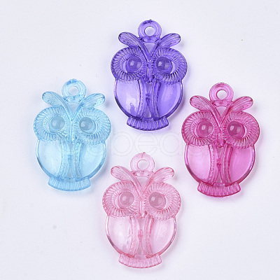 Transparent Acrylic Pendants TACR-T015-051-1