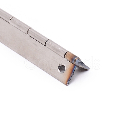 Stainless Steel Hinges TOOL-TAC0009-01A-1