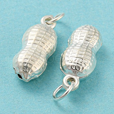 925 Sterling Silver Pendants STER-B002-12S-1